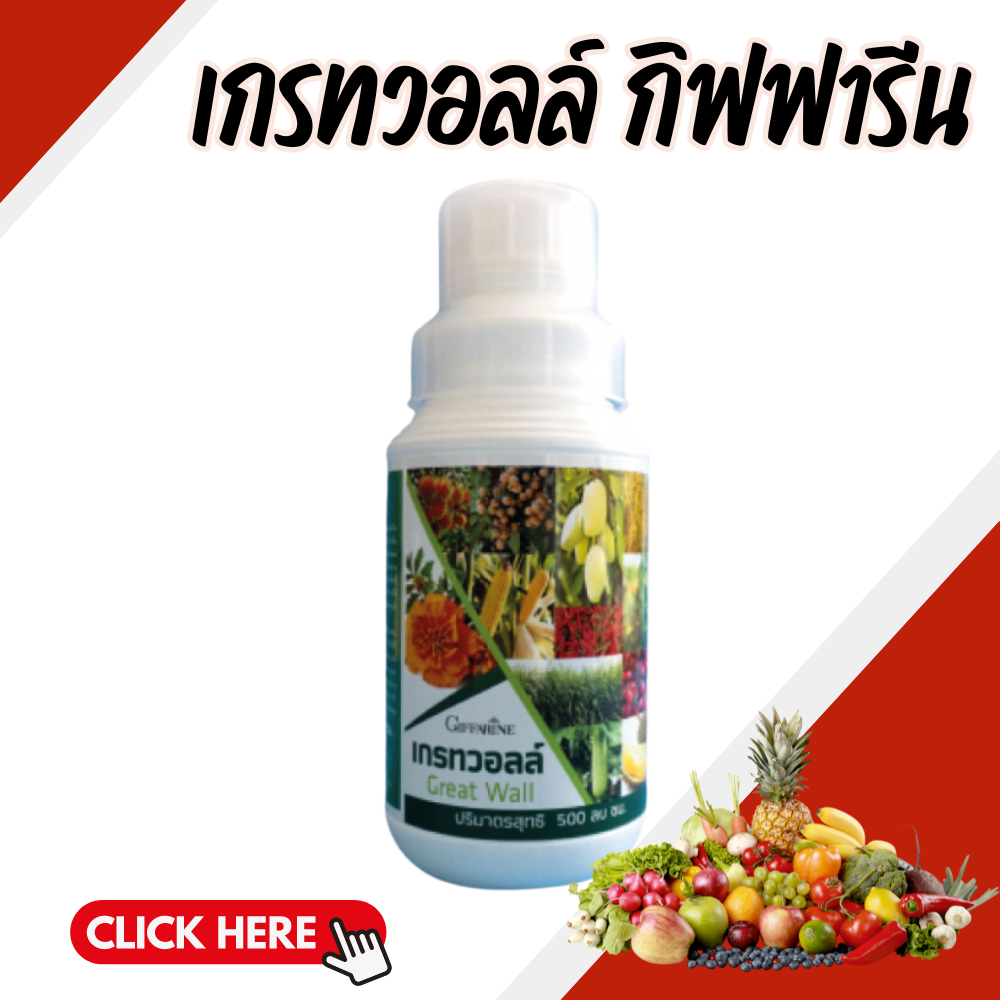 ปุ๋ย ปุ๋ยกิฟฟารีน เกรทวอลล์ ธาตุซิลิคอน ซึ่งอยู่ในรูปของซิลิคแอซิด ราคา 680 บาท*ส่งฟรี