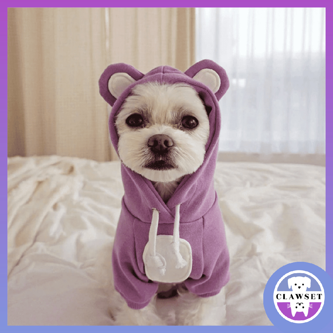 เสื้อหมาแมว ฮู้ดดี้มีหู น่ารักมากมาก | Clawset.BKK ราคา 611 บาท*ส่งฟรี