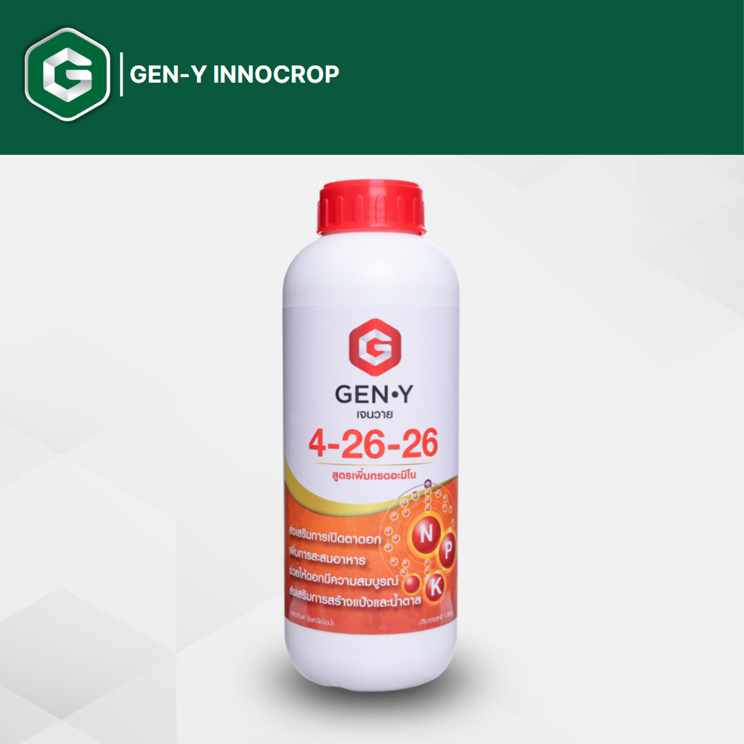 ปุ๋ยน้ำเจนวาย 4-26-26 1L. (สูตรเพิ่มกรดอะมิโน) รูปแบบน้ำใส เพิ่มการสะสมอาหารเพื่อการออกดอก เปิดตาดอก ดอกสมบูรณ์ ติดผลดก ราคา 370 บาท*ส่งฟรี