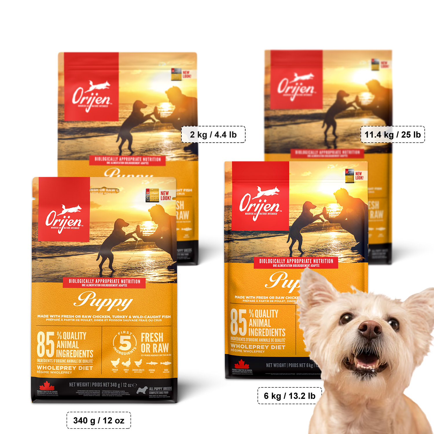 Orijen puppy outlet 340g