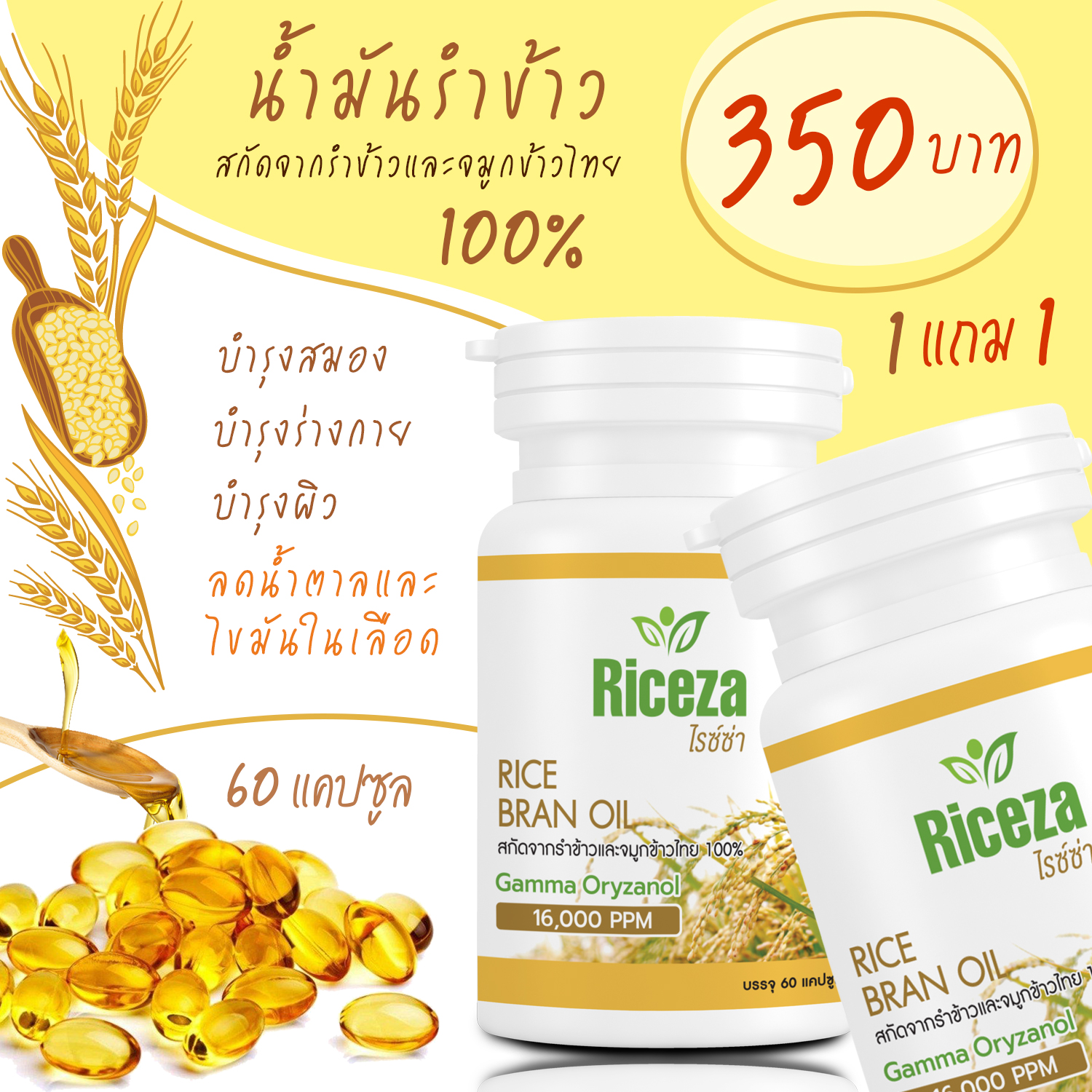 มุมมองเพิ่มเติมของสินค้า น้ำมันรำข้าว RICEZA โปรซื้อ 1 แถม 1 สกัดจากรำข้าวและจมูกข้าวไทย ผสมวิตามินรวม นอนหลับดี  บรรจุกระปุกละ60เม็ด