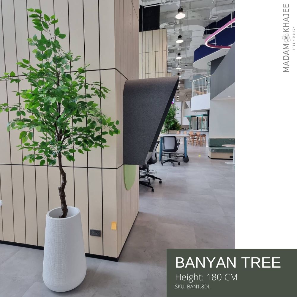 ฺBanyan Tree Height 180 Cm.ต้นไทรประดิษฐ์ ความสูง 180 ซม. ราคา 4,000 บาท*ส่งฟรี
