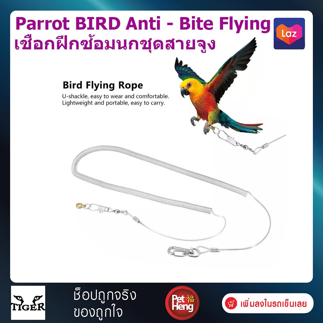 Petheng Parrot BIRD Anti - Bite Flying เชือกฝึกซ้อมนก ชุดสายจูง นก คละสี