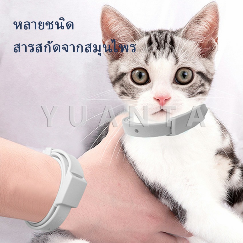 รูปภาพเพิ่มเติมของ YUANTA [A678] ปลอกคอกันเห็บ หมัด  **ในซองพลาสติก**  ปลอกคอแมว ปลอกคอหมา ปลอกคอกันเห็บ Pet insect repellent collar