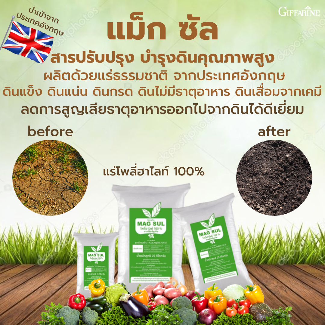 สารปรับปรุงดินจากแร่ธรรชาติจากอังกฤษ แม็กซัล โพลี่ฮาไลท์ 100% ลดการสูญเสียธาตุอาหารออกไปจากดิน ราคา 1,950 บาท*ส่งฟรี
