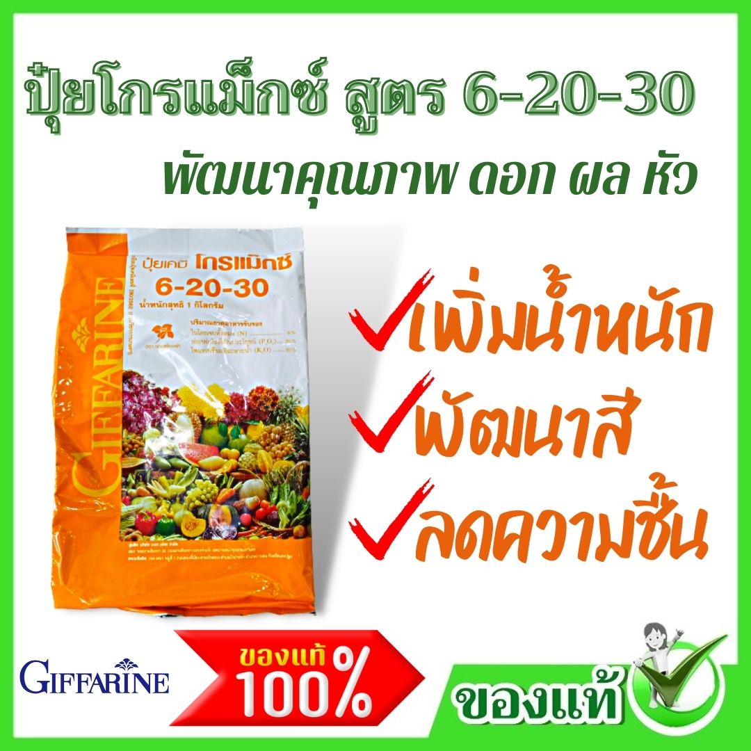 #น้ำหนักดีสีสวย ปุ๋ย 6-20-30 #ปุ๋ยเร่งสี #เร่งแป้ง #เพิ่มน้ำหนัก สร้างน้ำตาล ปุ๋ยโกรแม็กซ์ #ปุ๋ยทางใบ #ปุ๋ยเกล็ดทางใบ ของแท้ จากร้าน gift you ราคา 290 บาท*ส่งฟรี