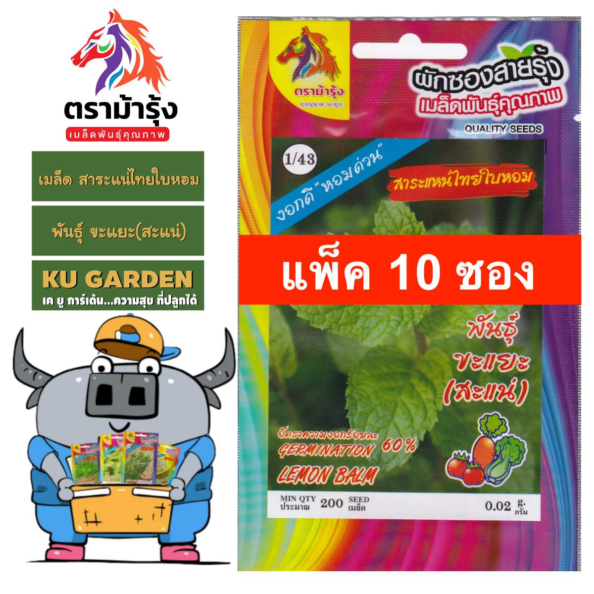 RAINBOWHORSE สาระแหน่ Z1/43 ไทยโบราณ เมล็ดพันธุ์ สาระแหน่ * แพ็ค 10 ซอง * เมล็ดพันธุ์  เมล็ดพันธุ์ผัก เมล็ดพันธุ์ ผักสวนครัว