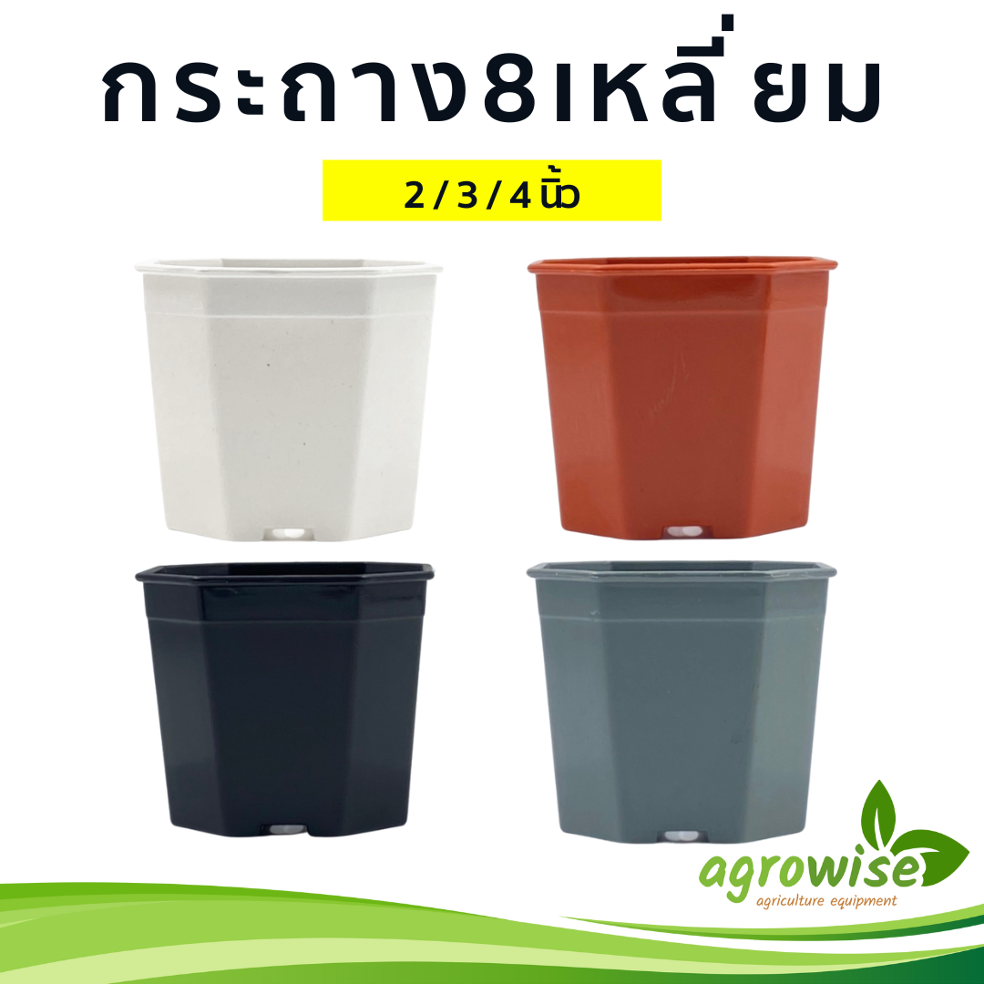 กระถางปลูกต้นไม้ กระทางต้นไม้ กระถางต้นไม้พลาสติก กระบองเพชร กระถาง 8 เหลี่ยม 2 นิ้ว สีเทา สีขาว 4 นิ้ว 8 เหลี่ยม สีดำ สีอิฐ 3 นิ้ว