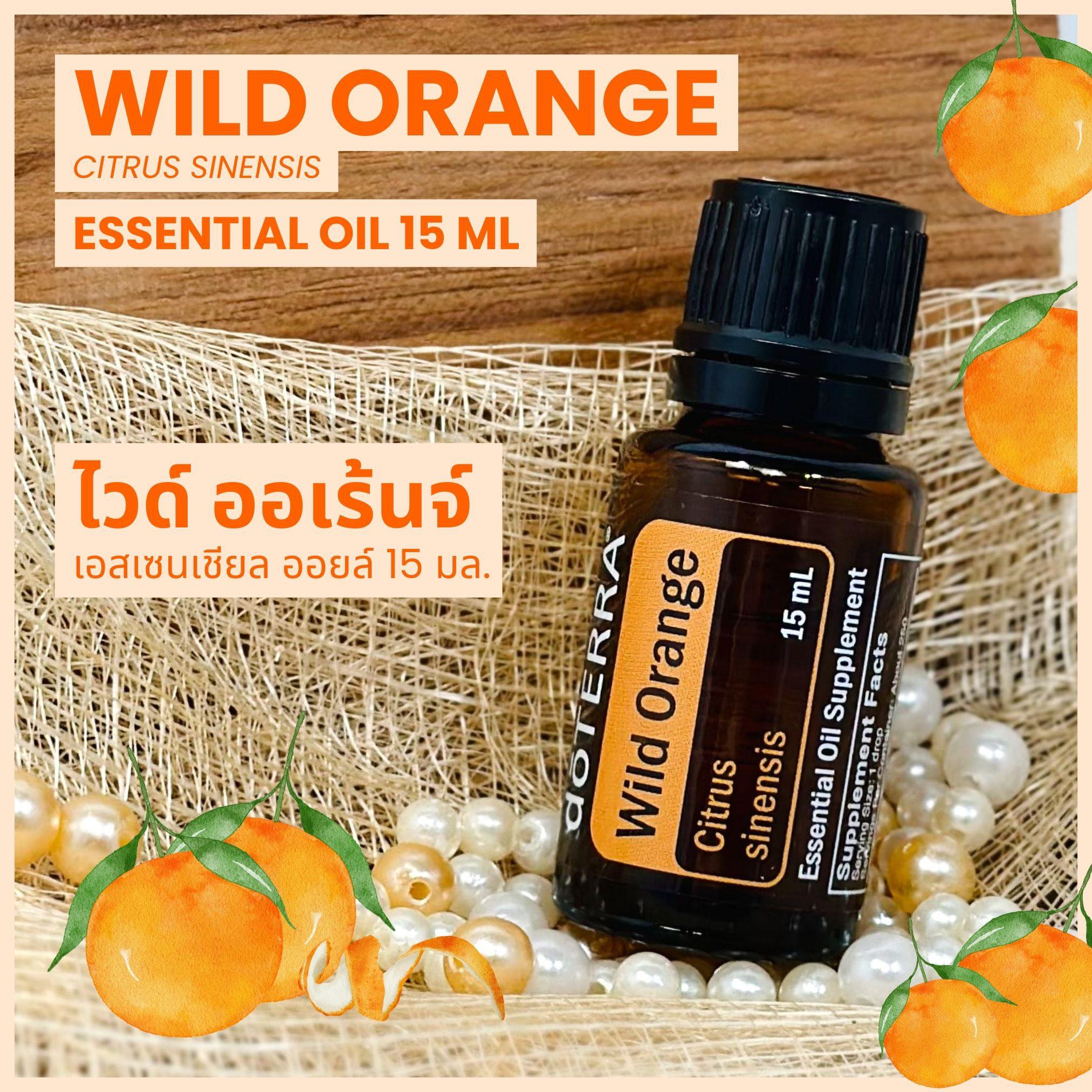 Doterra Essential Oils Wild Orange น้ำมันหอมระเหย โดเทอร์ร่า ไวด์ ออเร้นจ์ ส้ม ขนาด 15 ml น้ำมันอโรม่า doTERRA ราคา 550 บาท*ส่งฟรี