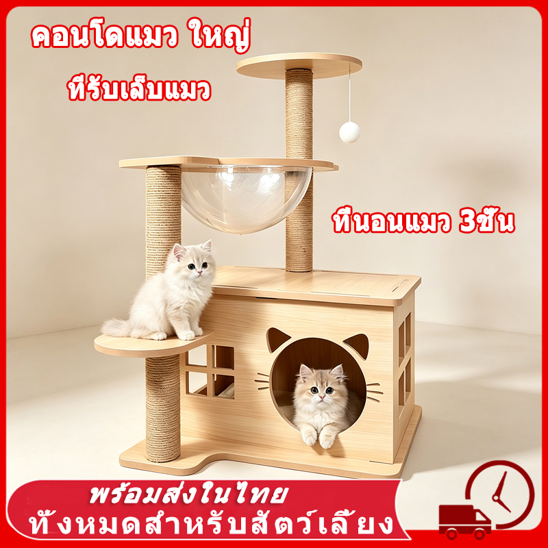 คอนโดแมว ใหญ่ คอนโดแมว คอนโดแมวไม้ คอนโดต้นไม้แมว บ้านแมว 