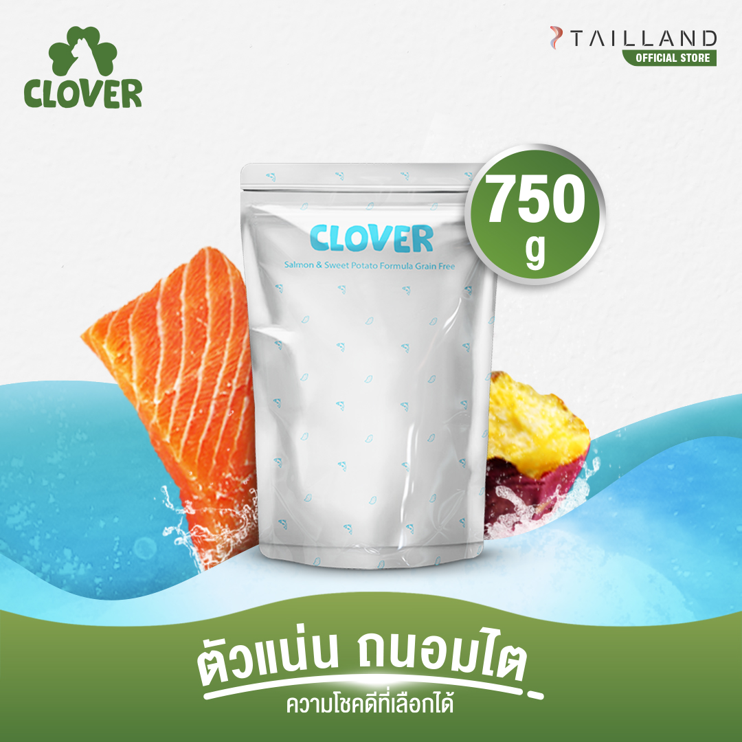 Clover รสเดียวพร้อมเสิร์ฟ รส Salmon (ขนาด 750 g / 2.5 kg) ราคา 240 บาท*ส่งฟรี
