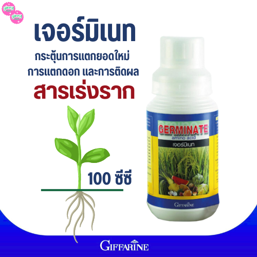 #ฮอร์โมนเร่งราก#เจอร์มิเนท 100 ซีซีกิฟฟารีน#กระตุ้นการแตกยอดใหม่ การแตกดอก และการติดผล ราคา 170 บาท*ส่งฟรี