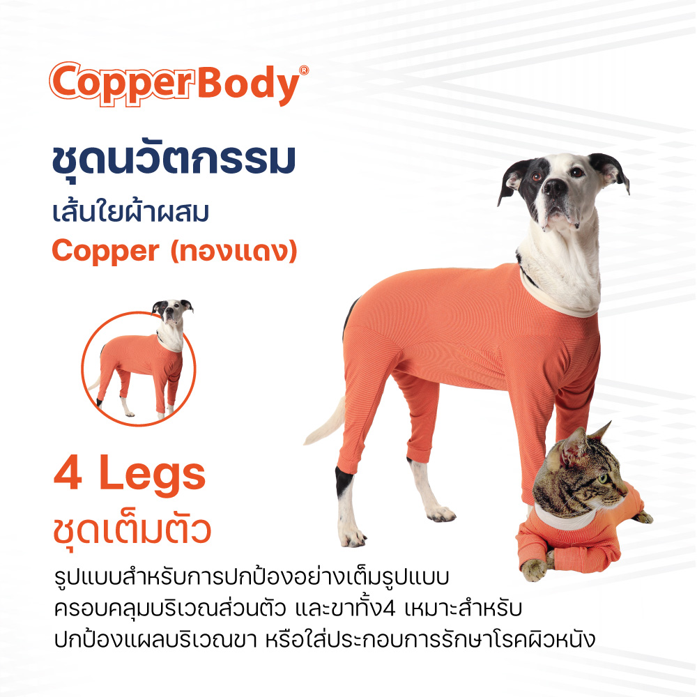 CopperBody 4 Legs นวัตกรรมชุดทองแดง คลุมสี่ขา รักษาผิวหนัง ราคา 1,515 บาท*ส่งฟรี