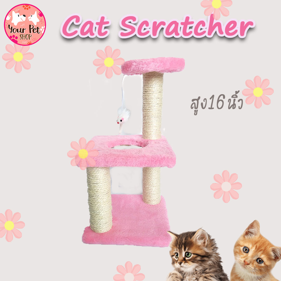 ที่ฝนเล็บ ที่ฝนเล็บแมว ที่ลับเล็บแมว Cat Scratcher ราคาถูก รุ่น 2 ชั้น ขนาด 16x8x8 นิ้ว by Your Pet Shop