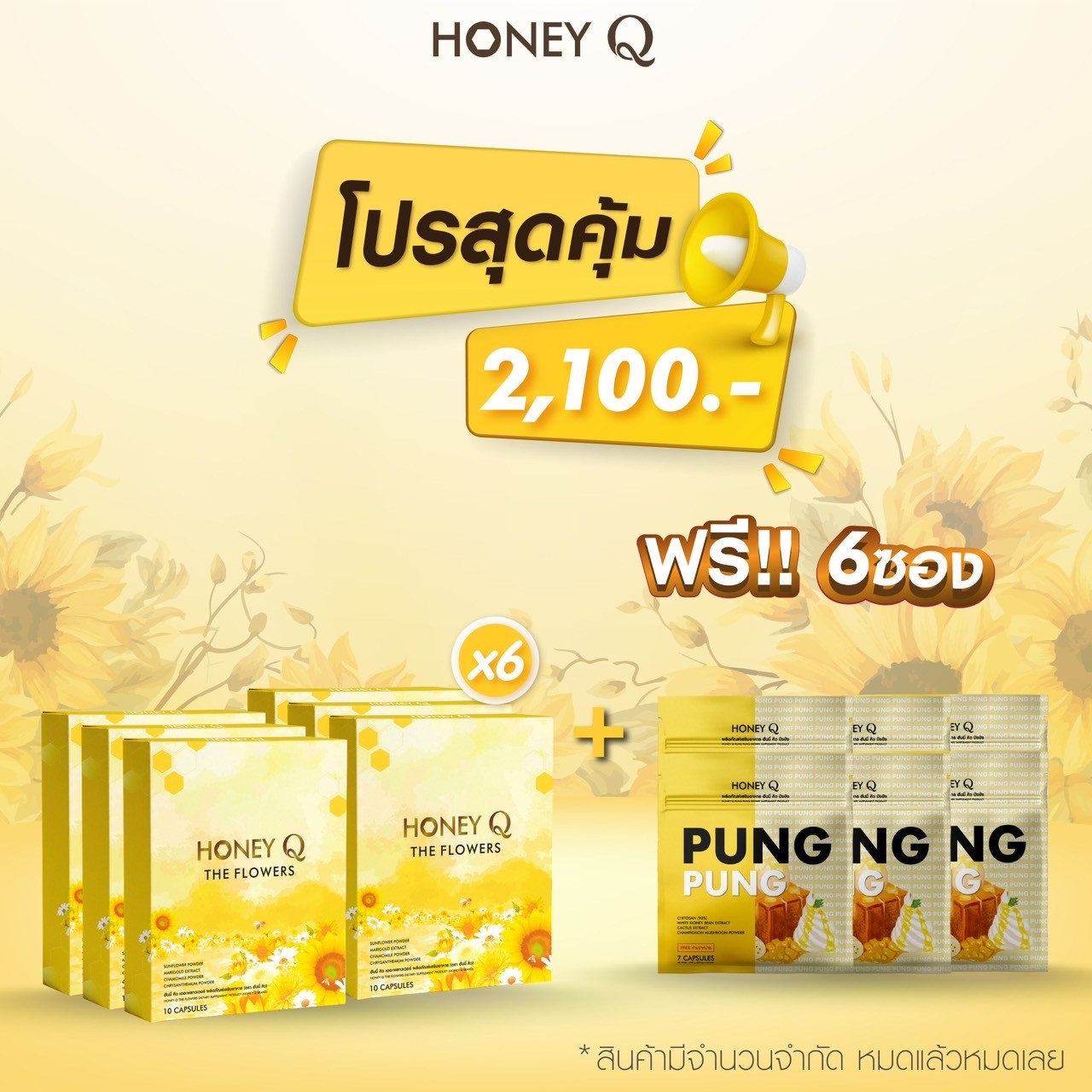 ✅สุดคุ้ม 6แถม6 สูตรใหม่ฮันนี่คิว HONEY Q FLOWERS ยาลดฮันนี่คิว #ฮันนี่คิวสูตรใหม่ ควบคุมน้ำหนัก ลดสัดส่วนหุ่นลีน #ส่งฟรี #ของแท้100% ราคา 2,100 บาท*ส่งฟรี