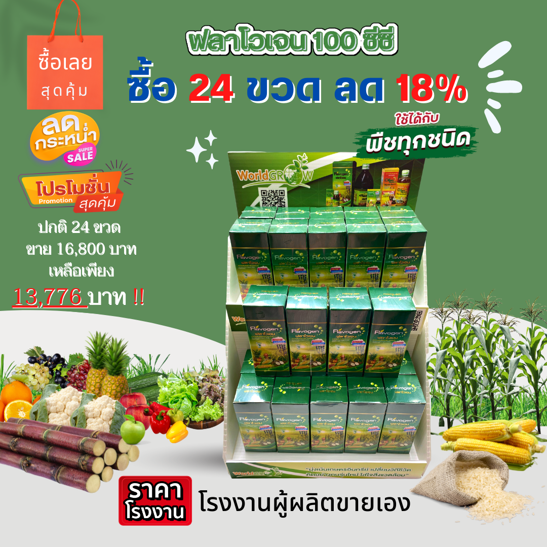 ฟลาโวเจน อาหารเสริมพืชอินทรีย์ขนาด 100 ซีซี 24ขวด ยกเซตสุดคุ้มลด 18% ราคา 13,776 บาท*ส่งฟรี