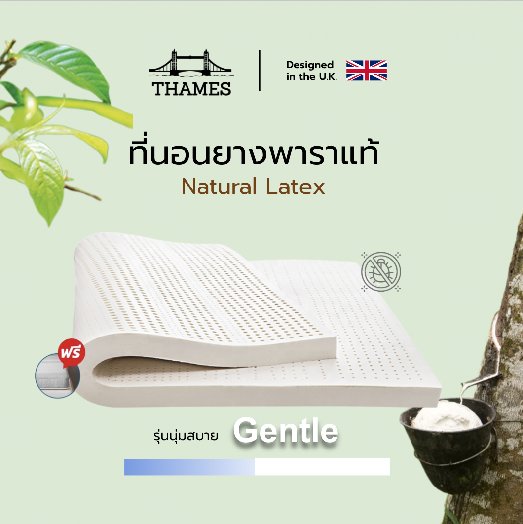 Thames ลดวันเดียว!!! +++ ที่นอนยางพารา แท้ ท็อปเปอร์ รุ่น Gentle ยางฉีดขึ้นรูปทั้งแผ่น ราคา 1,149 บาท*ส่งฟรี