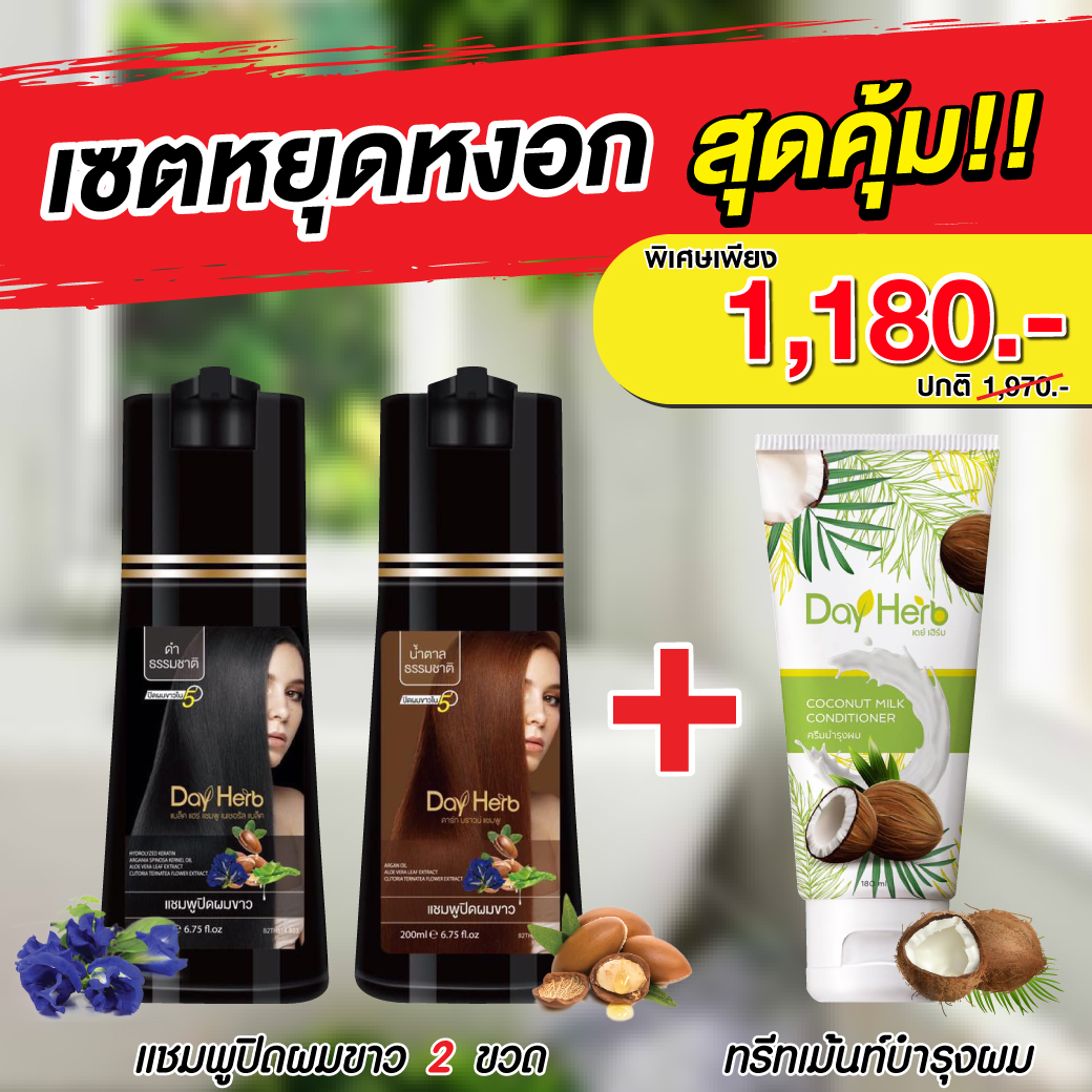 DayHerb แชมพูปิดผมขาว สมุนไพรแท้ ปิดหงอก ลดหงอก ผมดำใน 5 นาที 2 ขวด + DayHerb ทรีทเม้นท์สูตรเข้มข้น ลดผมขาดร่วง ล้างสารพิษออกจากเส้นผม ราคา 1,150 บาท*ส่งฟรี