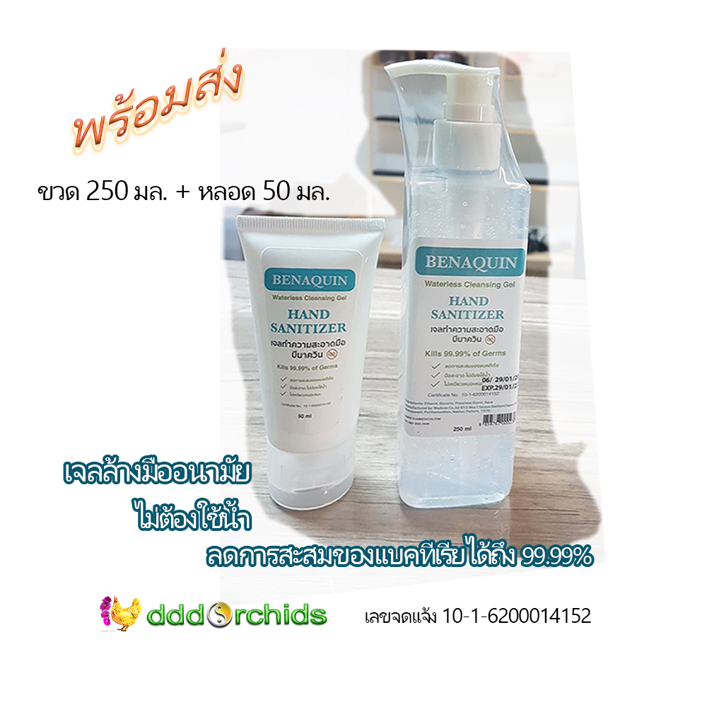 เจลล้างมือแอลกอฮอล์  2 ชิ้น  แบบขวดปั๊ม 250 มล.1 ขวด และหลอดสำหรับพกพา 50 มล. 1 หลอด ทำความสะอาดมือได้ทุกที่ ทุกเวลา ไม่ต้องล้างน้ำ  : จำหน่ายโดยร้าน dddOrchids