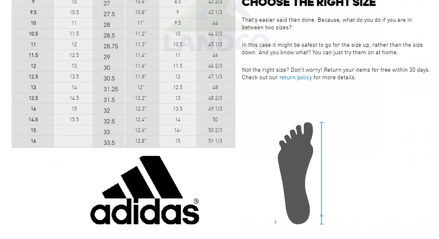 เกี่ยวกับ Adidas รองเท้าวิ่ง รองเท้ากีฬา รองเท้าผู้หญิง อาดิดาส Rg Women Shoe Energy Falcon X EE9941 (2300)