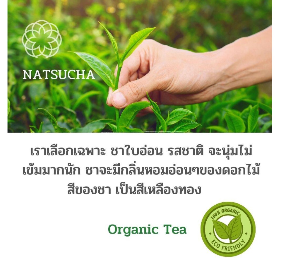 ภาพประกอบคำอธิบาย ( 2 PACKS ) ชาอู่หลง อู่หลงยอดน้ำค้าง Oolong tea ชาอู่หลงแท้ organic  คัดเฉพาะชาใบอ่อน มีกลิ่นหอมอ่อน เหมือนดอกไม้ขนาด 200 กรัม แพ็คคู่  loose leaf tea