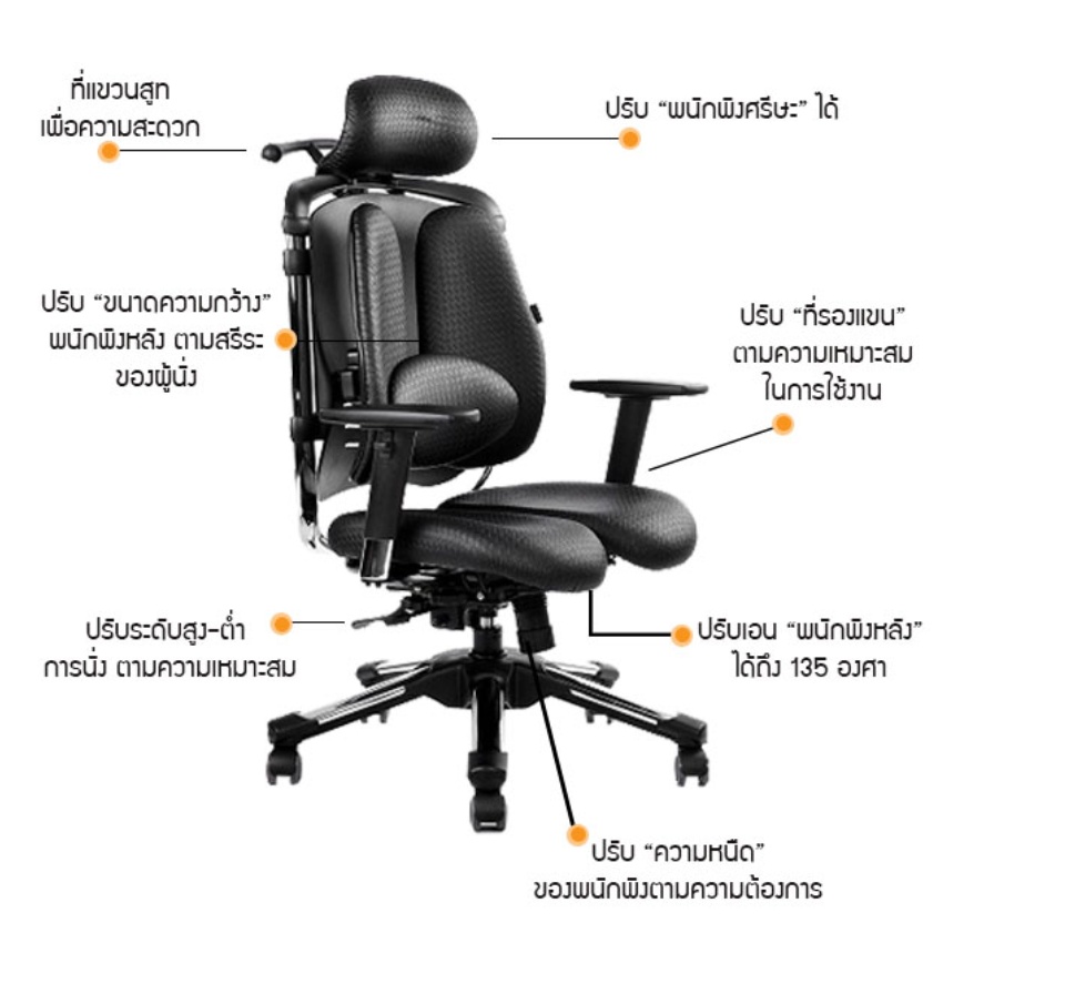 Hara chair discount nietzsche lb v7