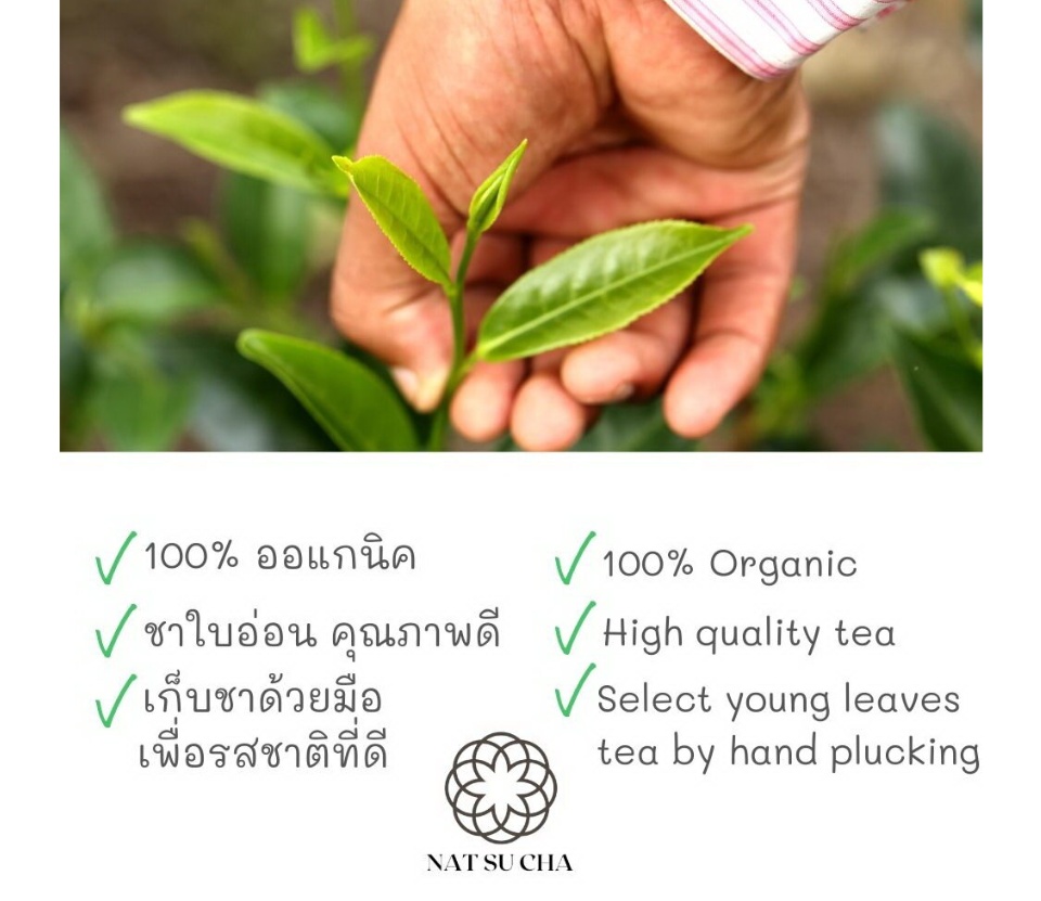 เกี่ยวกับสินค้า ( 2 PACKS ) ชาอู่หลง อู่หลงยอดน้ำค้าง Oolong tea ชาอู่หลงแท้ organic  คัดเฉพาะชาใบอ่อน มีกลิ่นหอมอ่อน เหมือนดอกไม้ขนาด 200 กรัม แพ็คคู่  loose leaf tea
