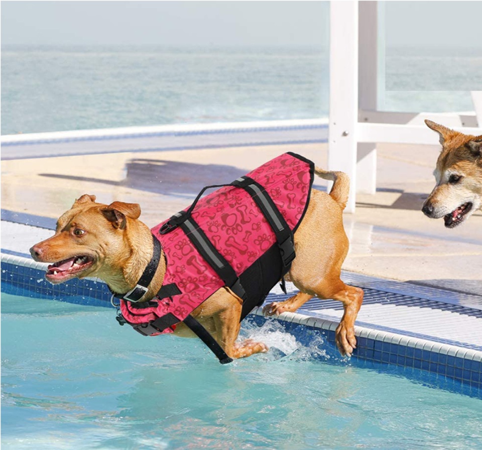 ภาพประกอบคำอธิบาย 【พร้อมส่ง】🐶 เสื้อชูชีพสัตว์เลี้ยง 🦺 เสื้อชูชีพสุนัขว่ายน้ำ ชุดว่ายน้ำสุนัข ชูชีพหมา เสื้อชูชีพสุนัข เสื้อชูชีพหมา